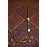 Silver Banded Bamboo Walking Stick