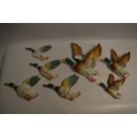 Collection of Pottery Wall Mounted Flying Ducks