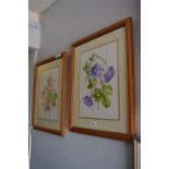 Pair of Floral Watercolours By Yvonne Caspani
