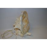 Conch Shell Table Lamp