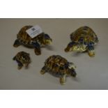 Four Wade Tortoises