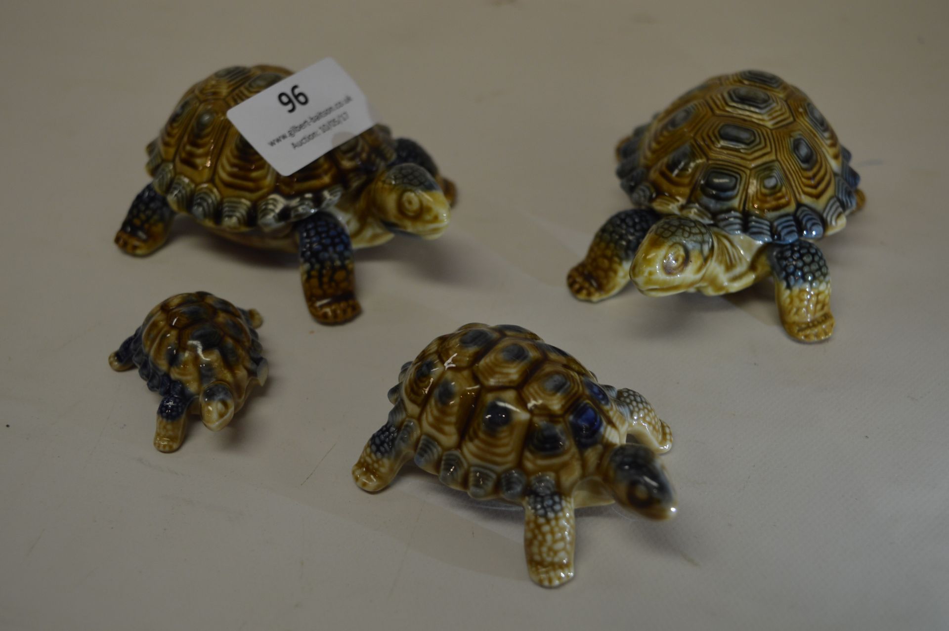 Four Wade Tortoises
