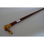 Bone Handled Walking Stick