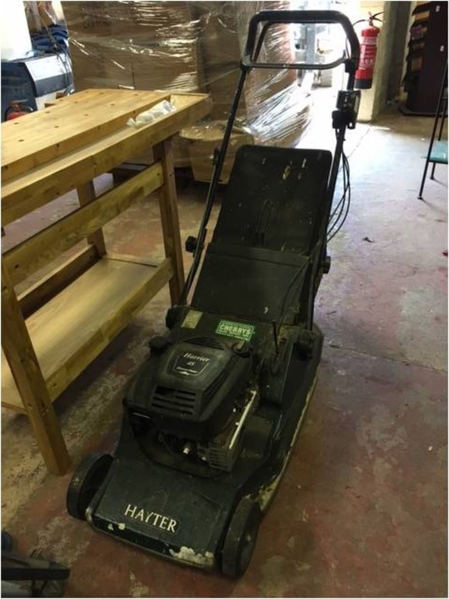 Hayter Harrier 48 Lawnmower