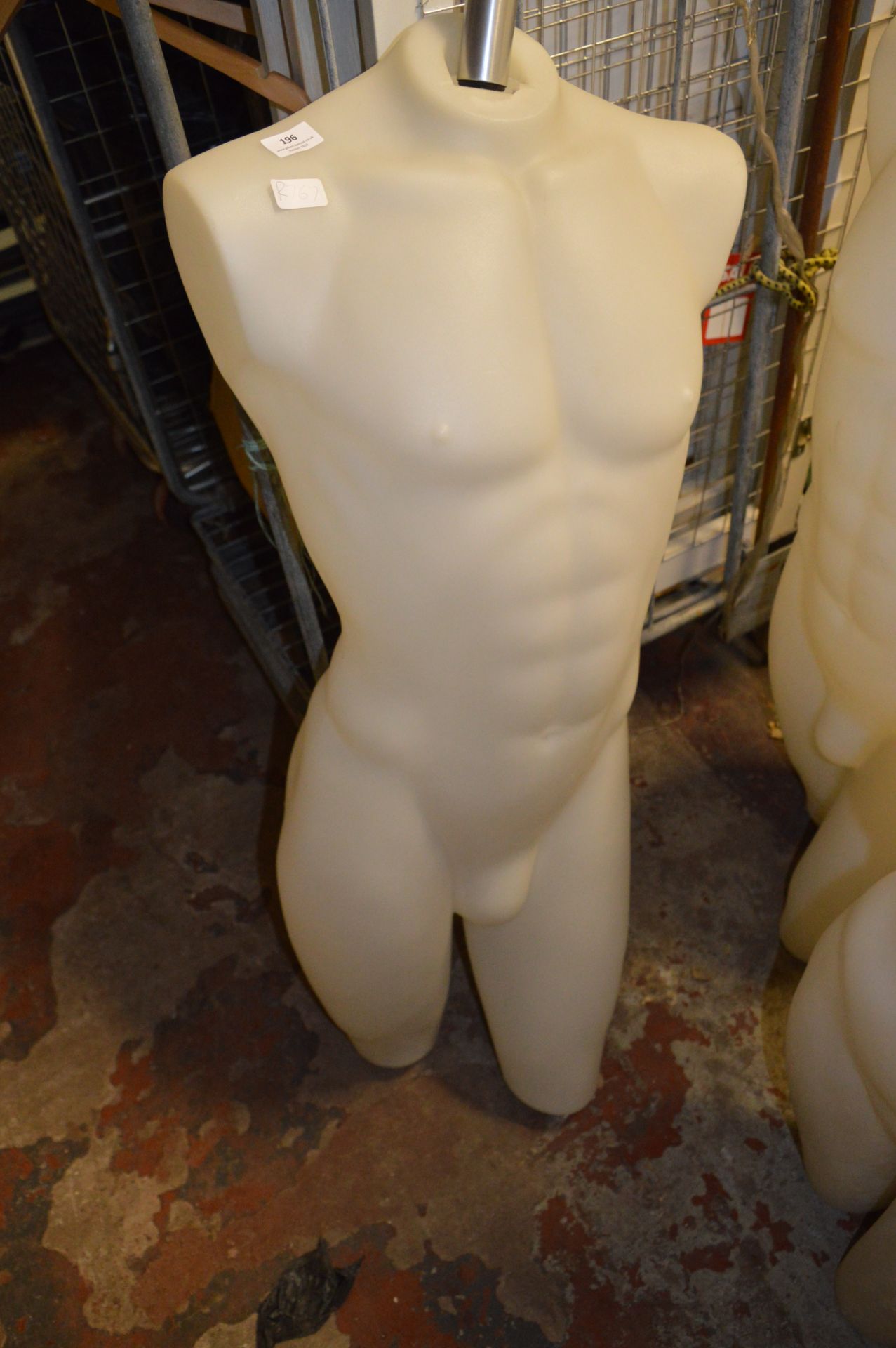 *Male Torso Mannequin