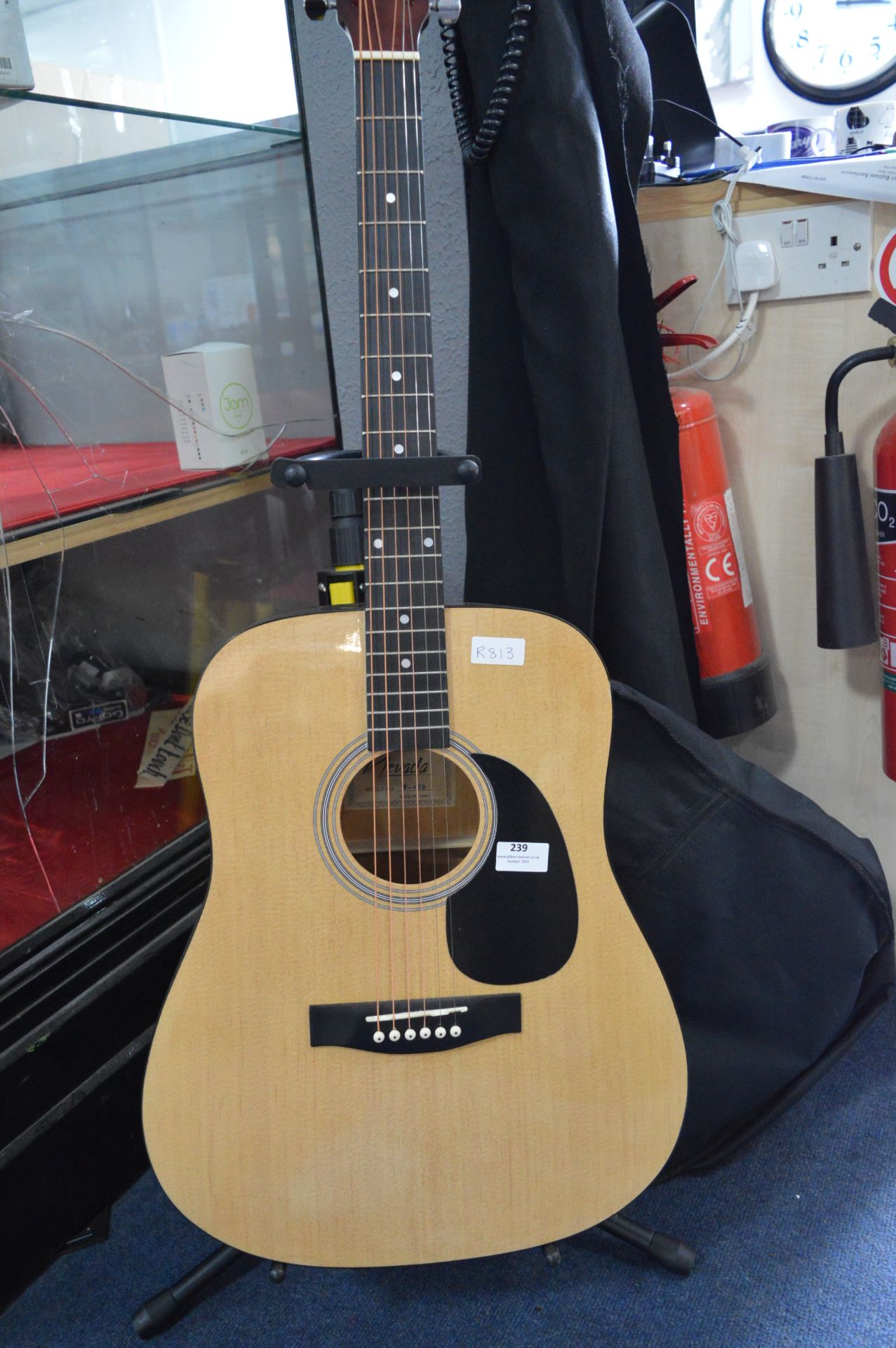 Nevada Acoustic Guitar With Stand and Case