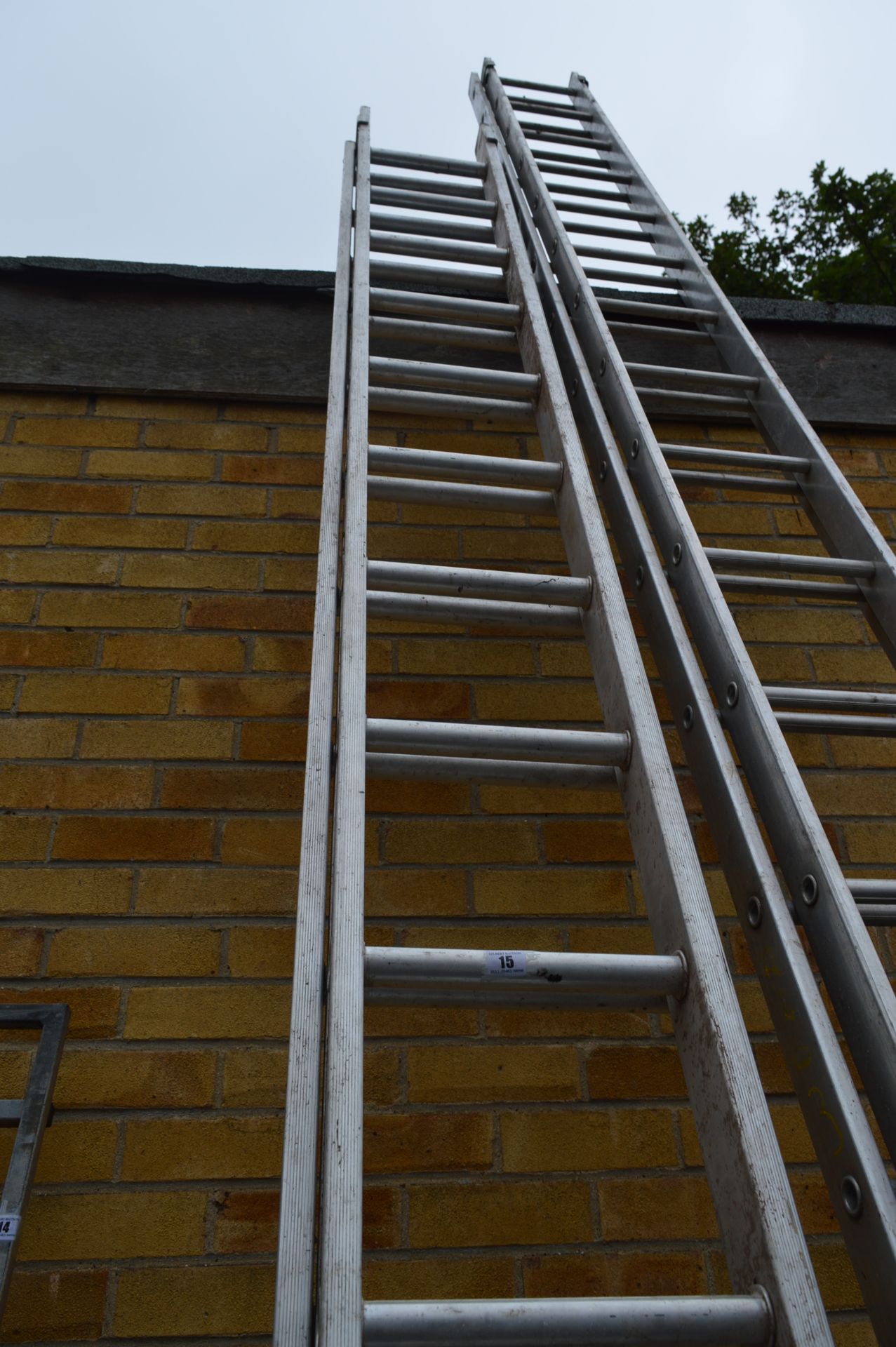 Thirty Rung Extending Ladder