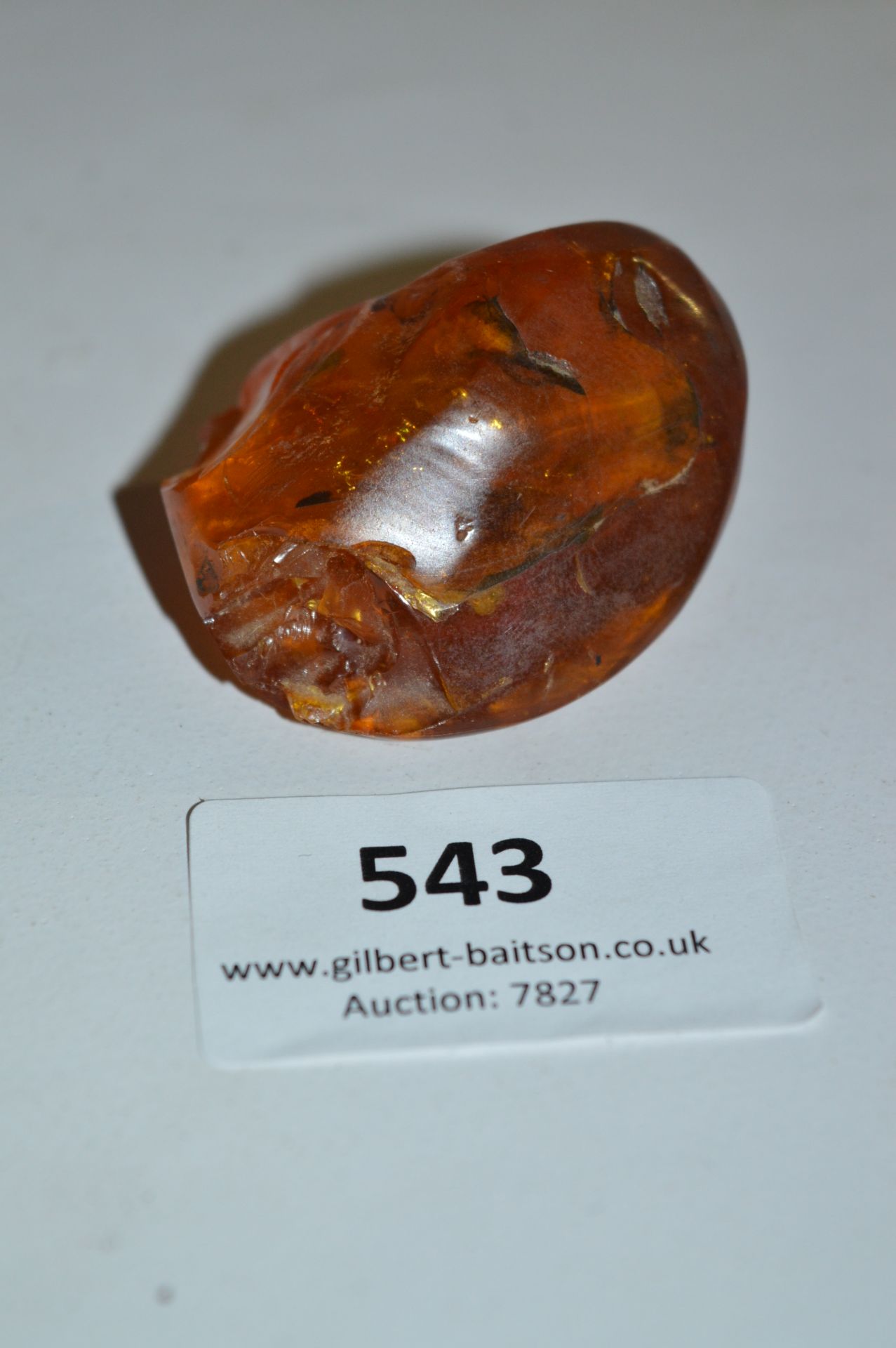 Fossilised Amber with Flies