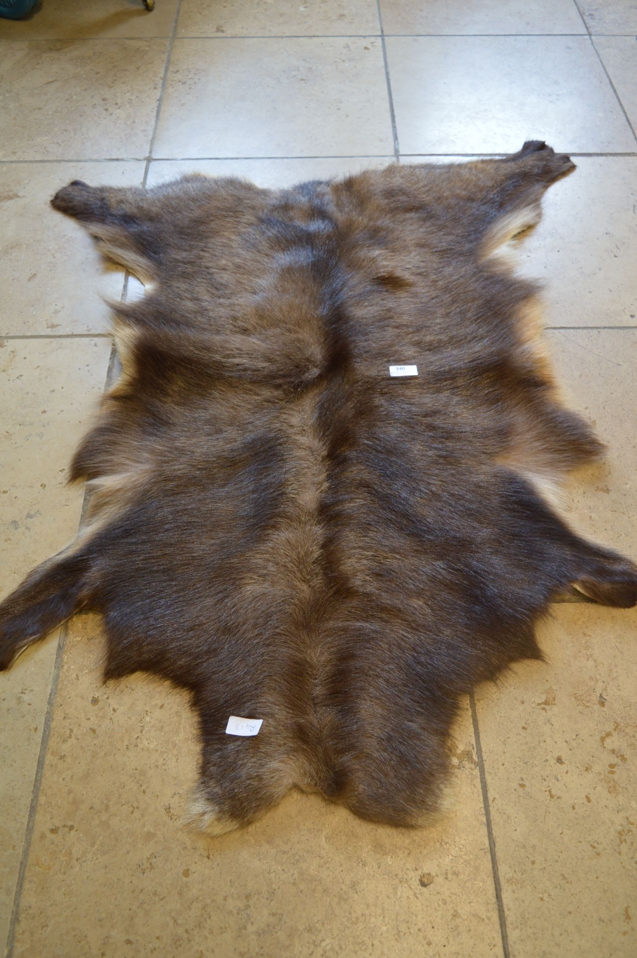 Deer Skin Rug