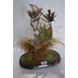 Taxidermy of Four Exotic Birds on Branch