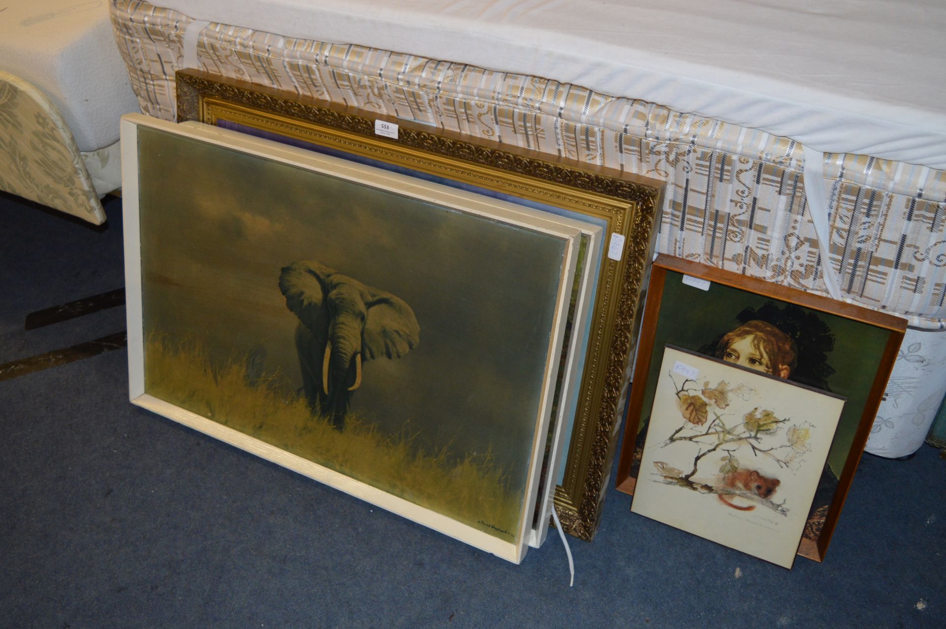 Selection of Framed Prints Including 1960s Elephant Print