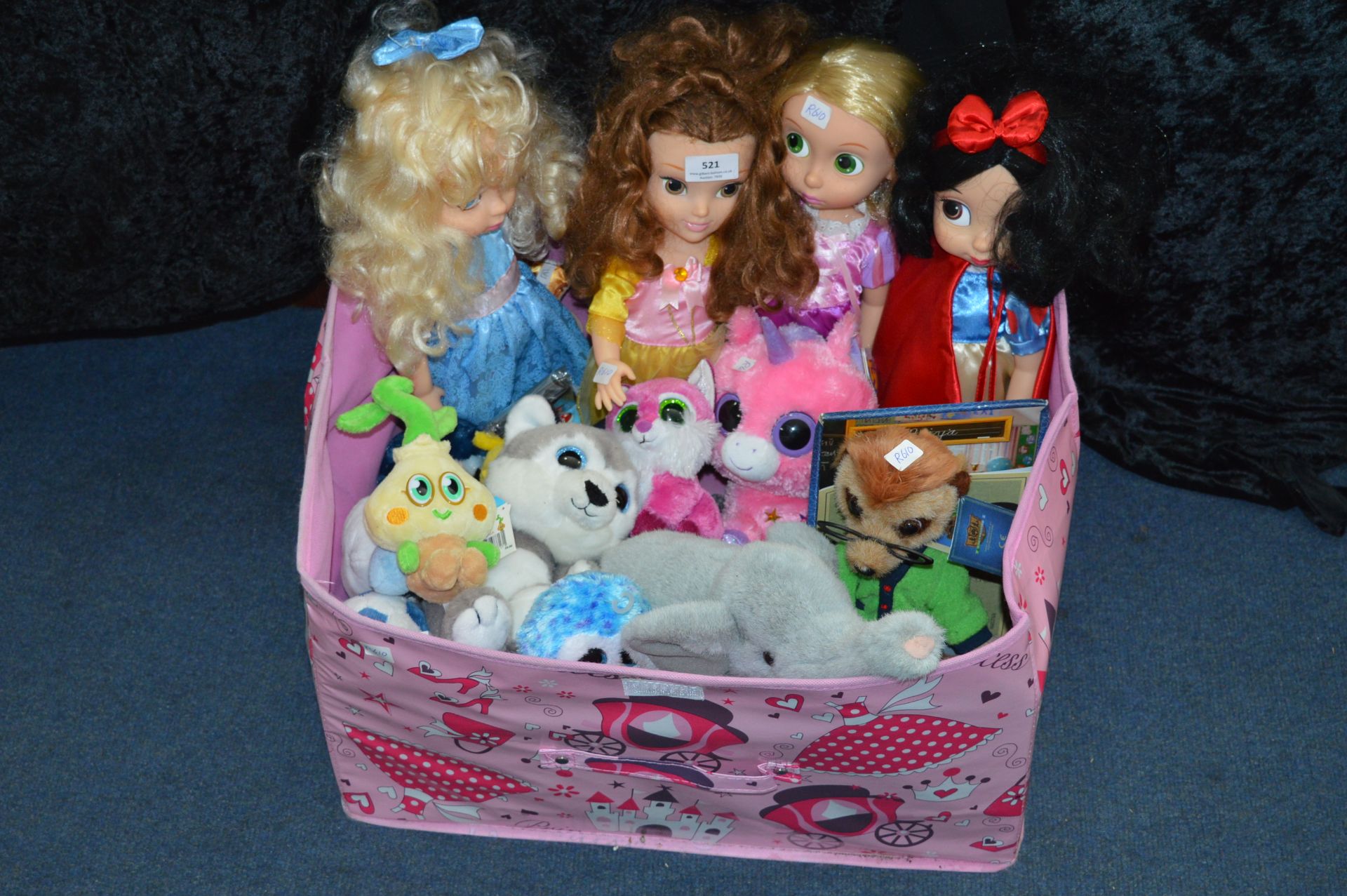 Girls Toy Box Containing Dolls and Soft Toys