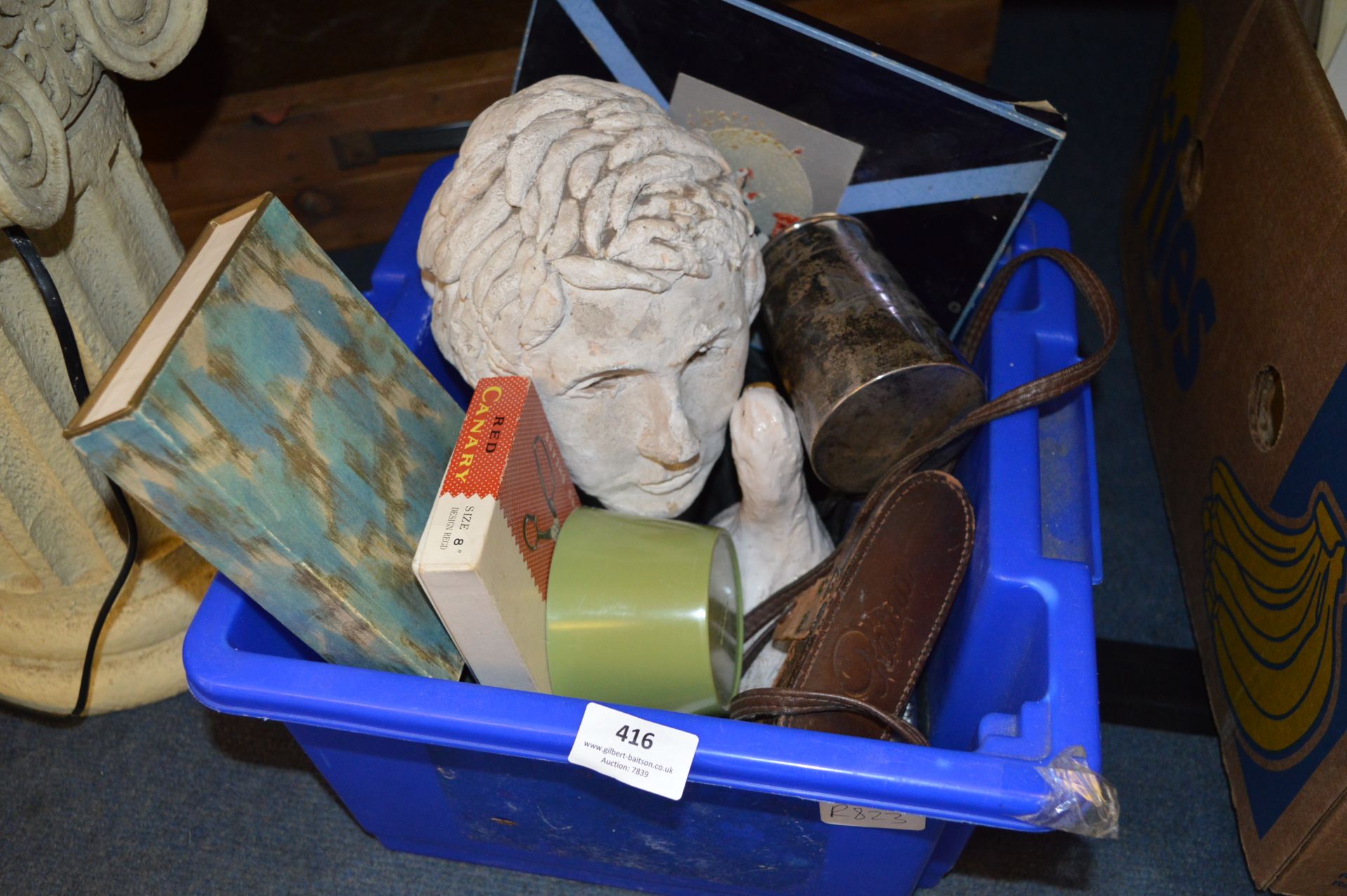 Small Box Containing Camera, Binoculars, Pottery Bust, etc.