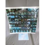 Framed Film Stills "Lord of the Rings: Return of the King"