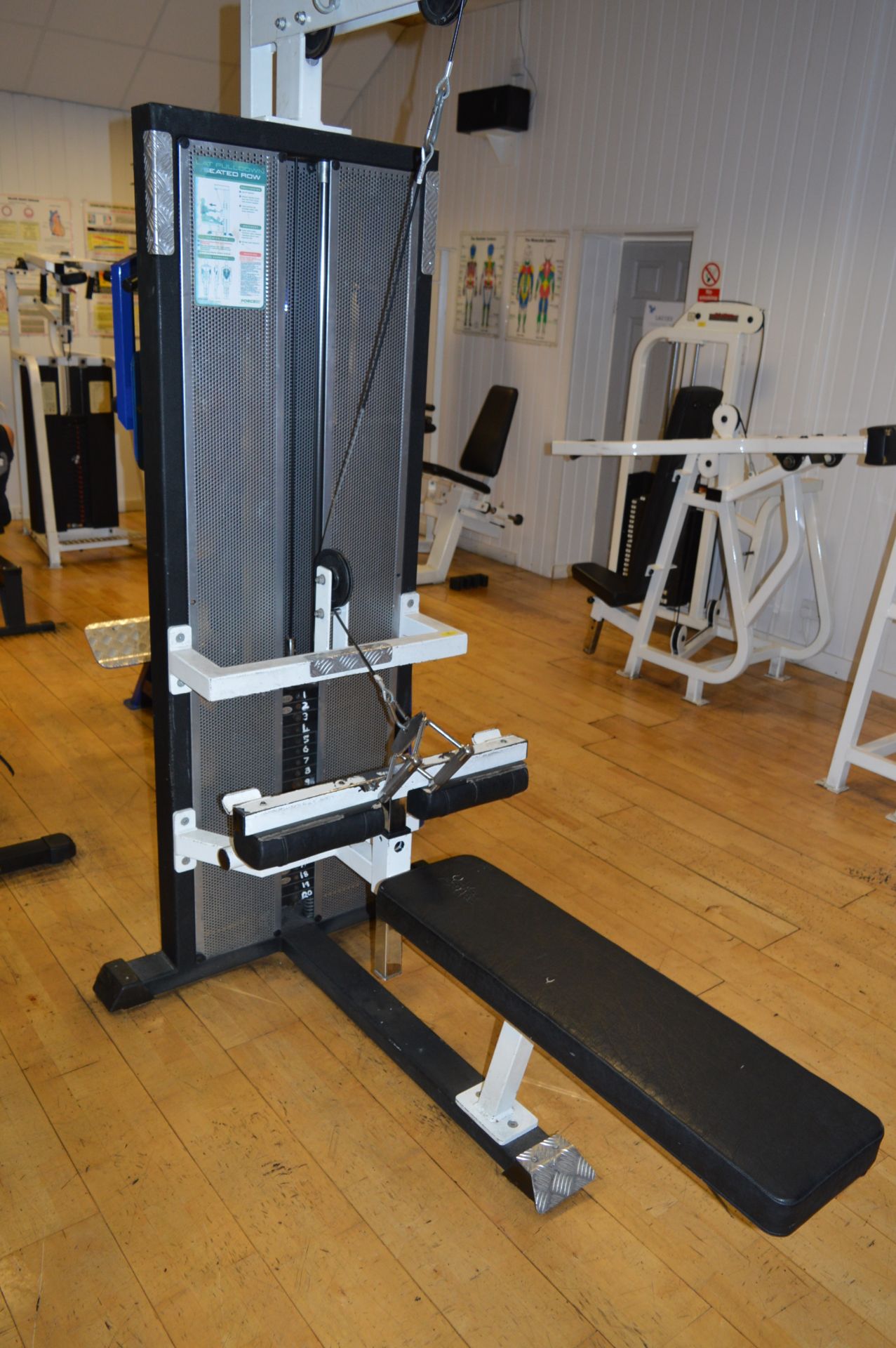 *Force Fitness Systems Lateral Pulldown and Seated Row