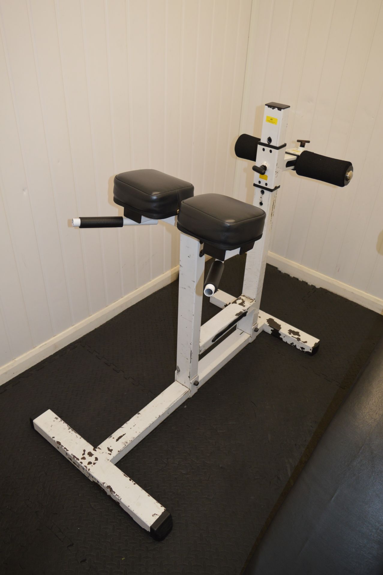 *Body Solid Training Bench