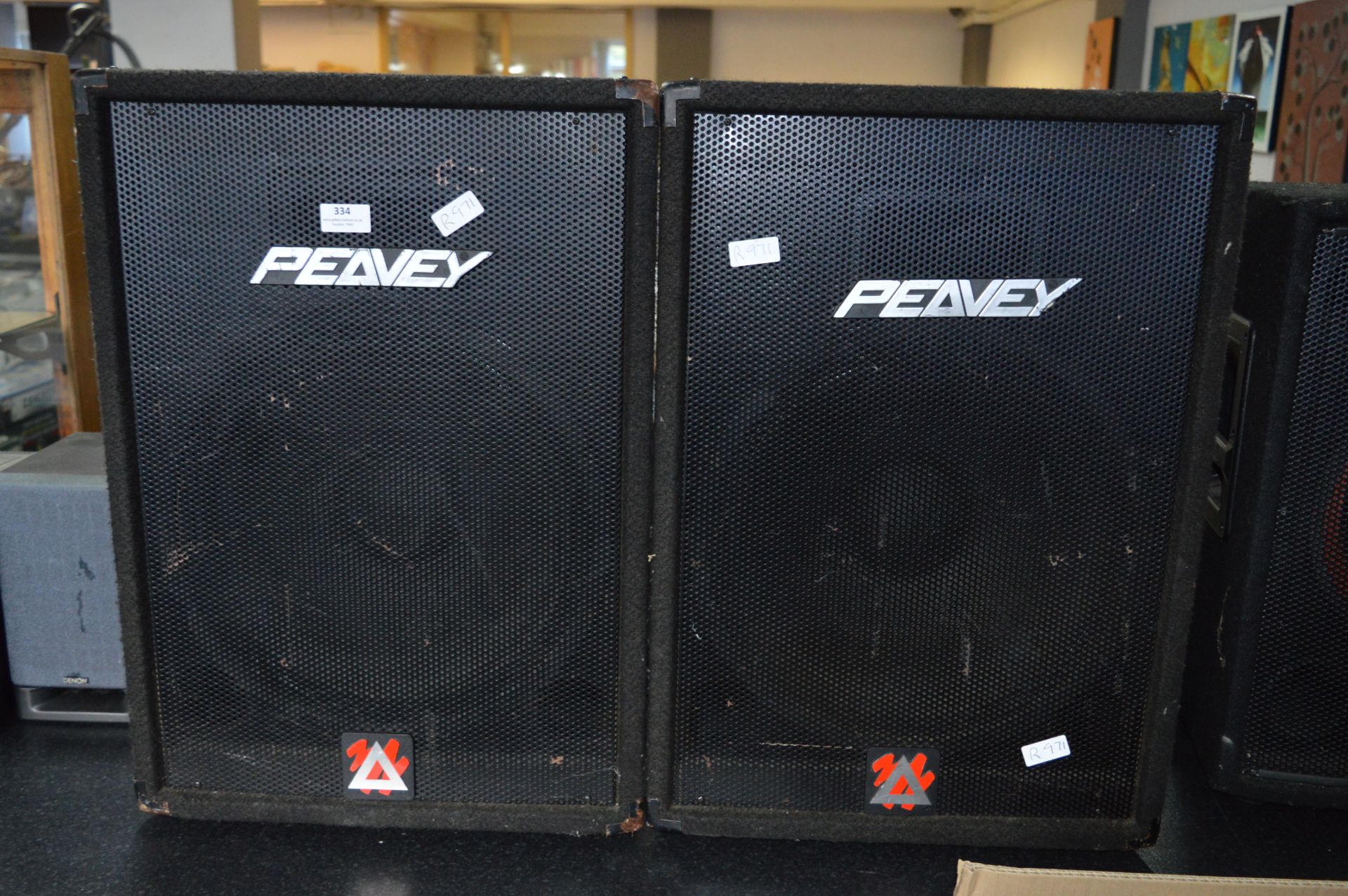 Pair Peavey Monitor Speakers