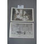 Watsons Fox Terriers Postcards