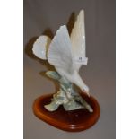 Lladro Figurine - Dove