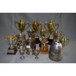 Collection of Trophies