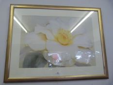Large Gilt Framed Floral Print