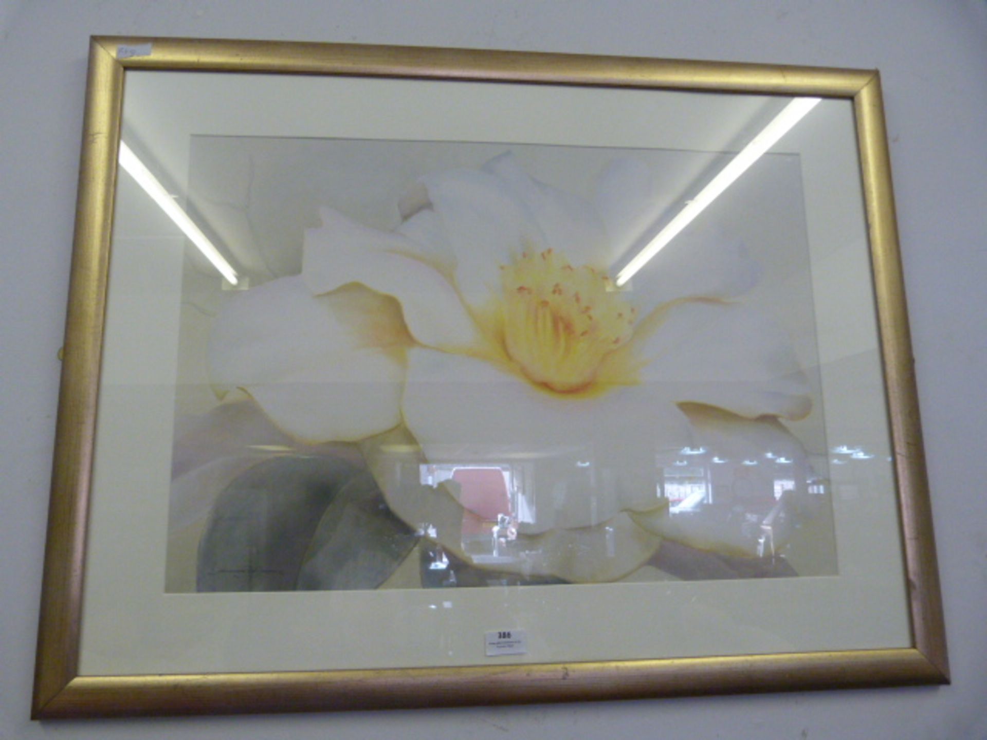 Large Gilt Framed Floral Print