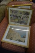 Three Framed Monet Prints