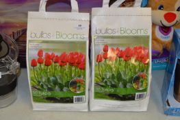 *Two Packs of 50 Tulip Bulbs