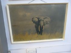 Framed 1960's David Shepherd Print "Elephant"
