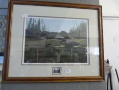 Framed Print and Stamp "American Wild Birds"