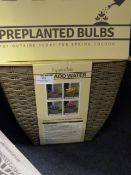 *Wicker Basket with Pre Planted Bulbs
