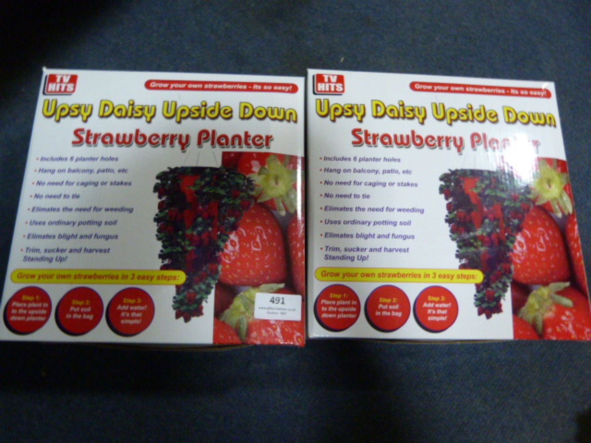 *Two Upsy Daisy Upside Down Strawberry Planters