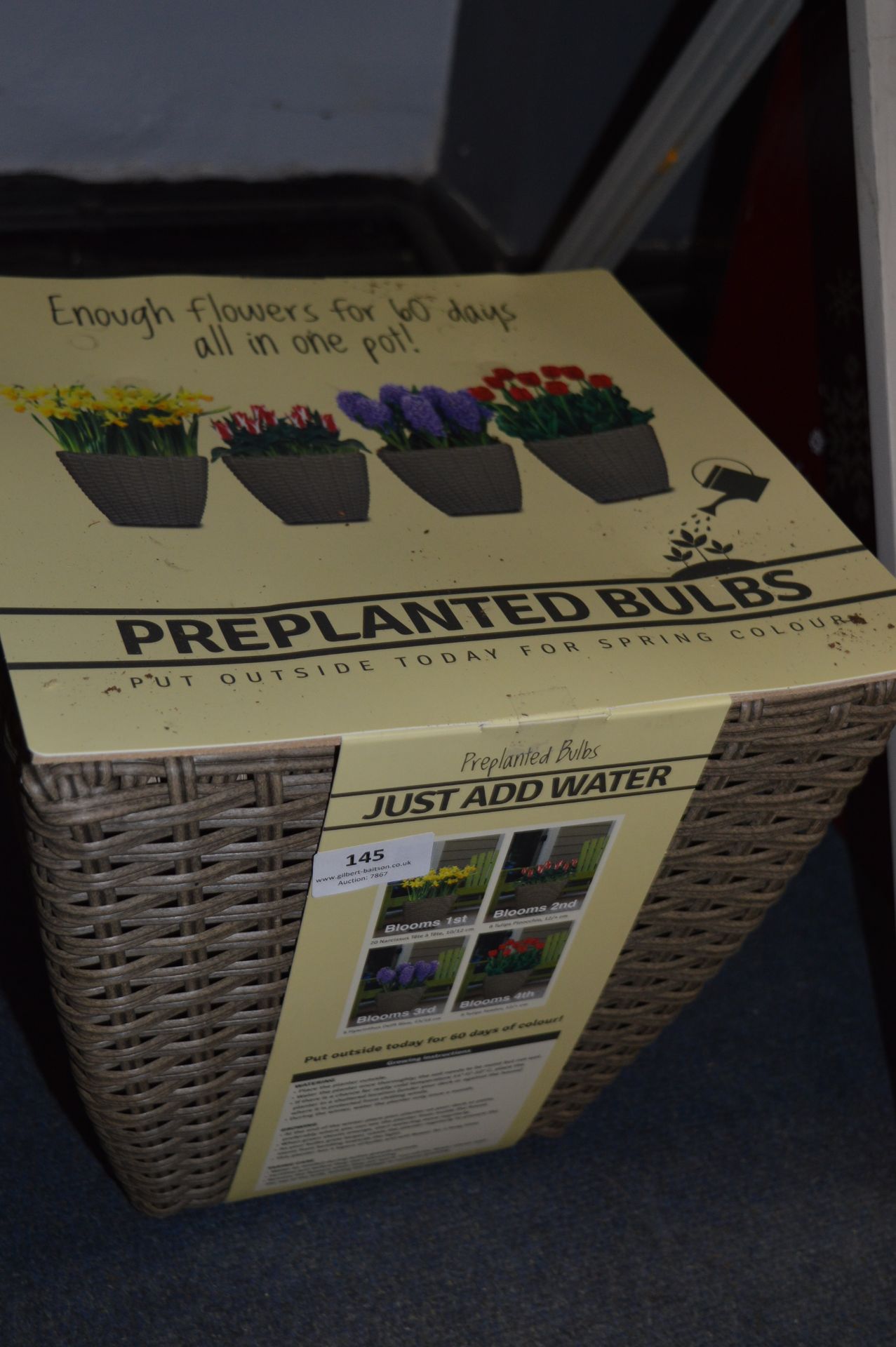 *Wicker Basket with Pre Planted Bulbs