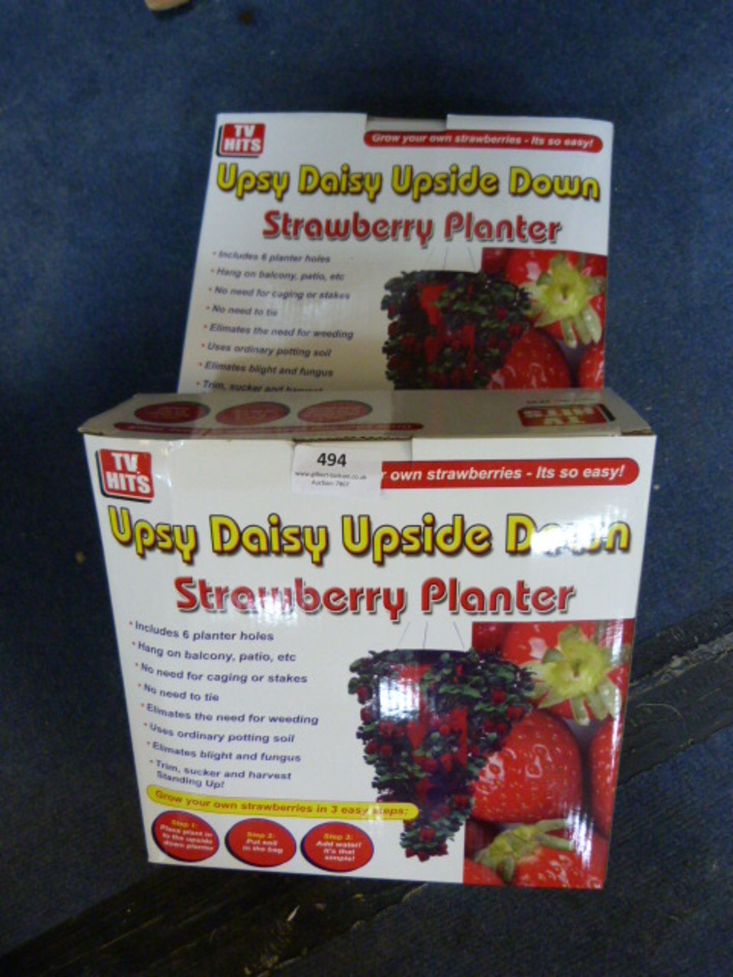 *Two Upsy Daisy Upside Down Strawberry Planters