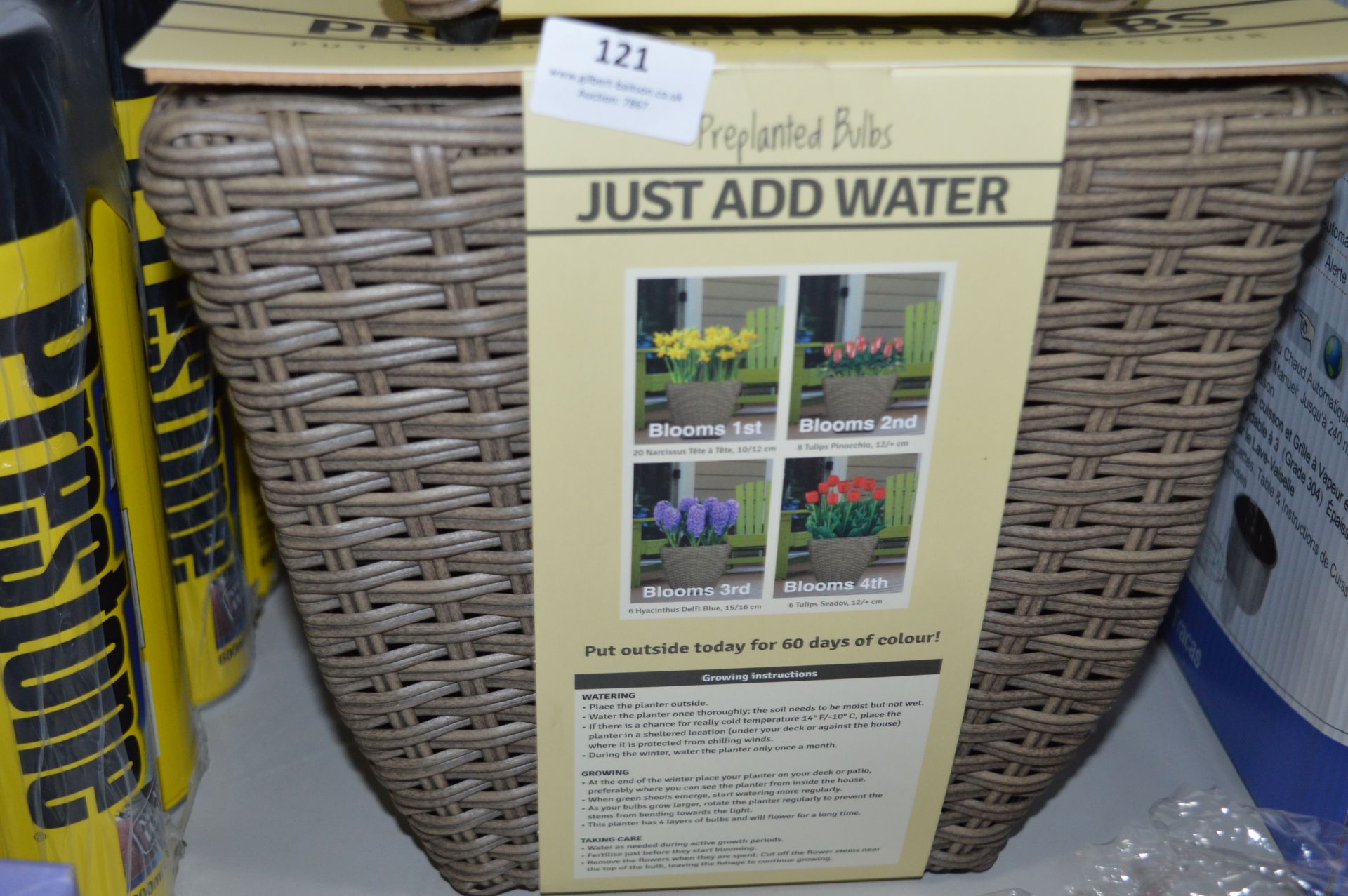 *Wicker Basket with Pre Planted Bulbs