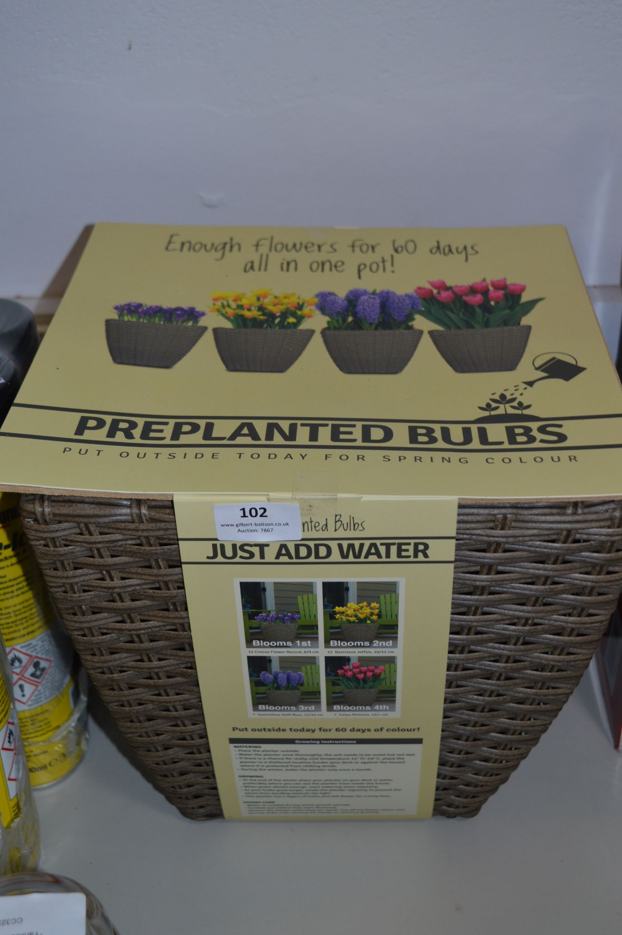 *Wicker Basket with Pre Planted Bulbs