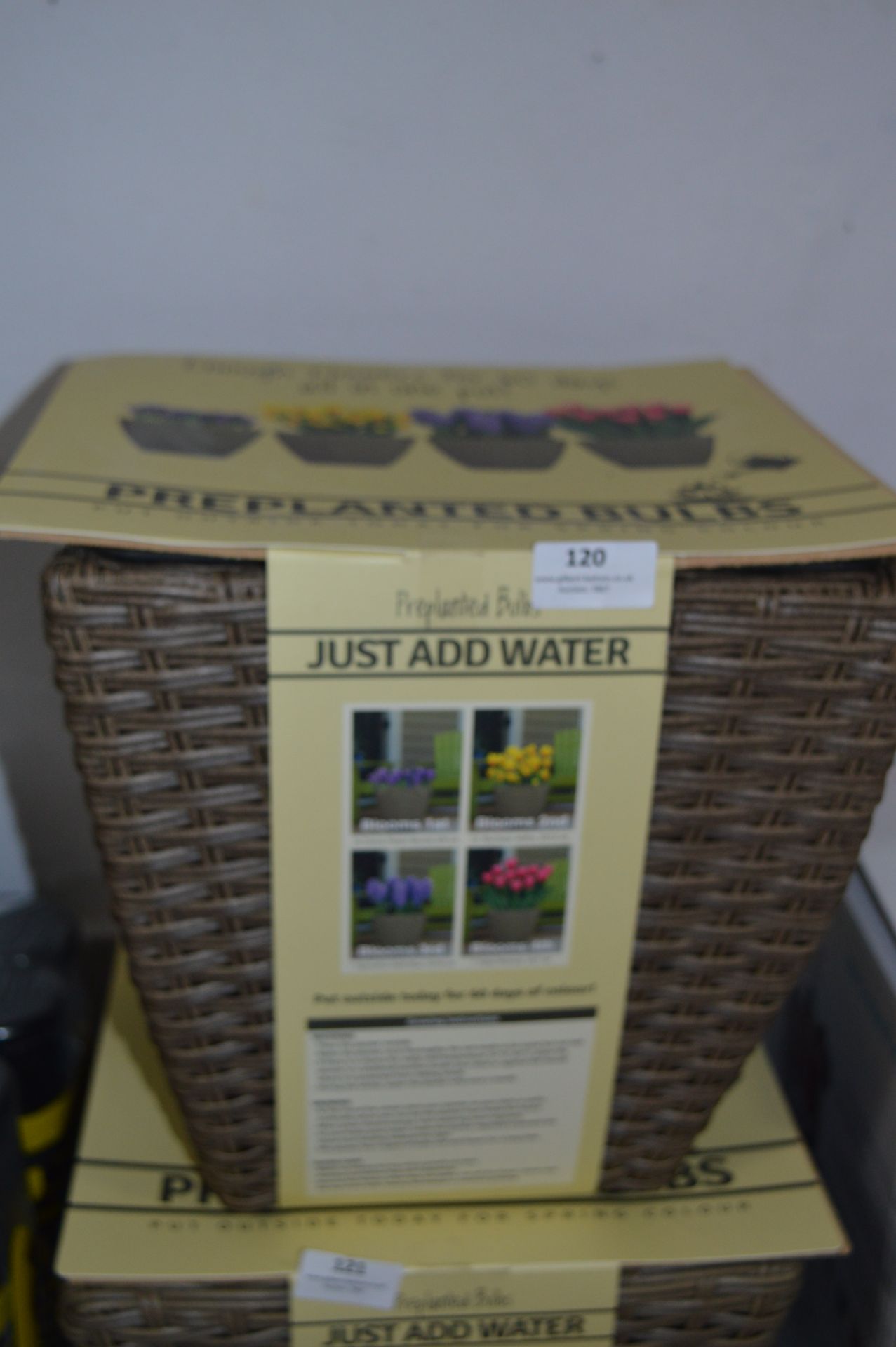 *Wicker Basket with Pre Planted Bulbs