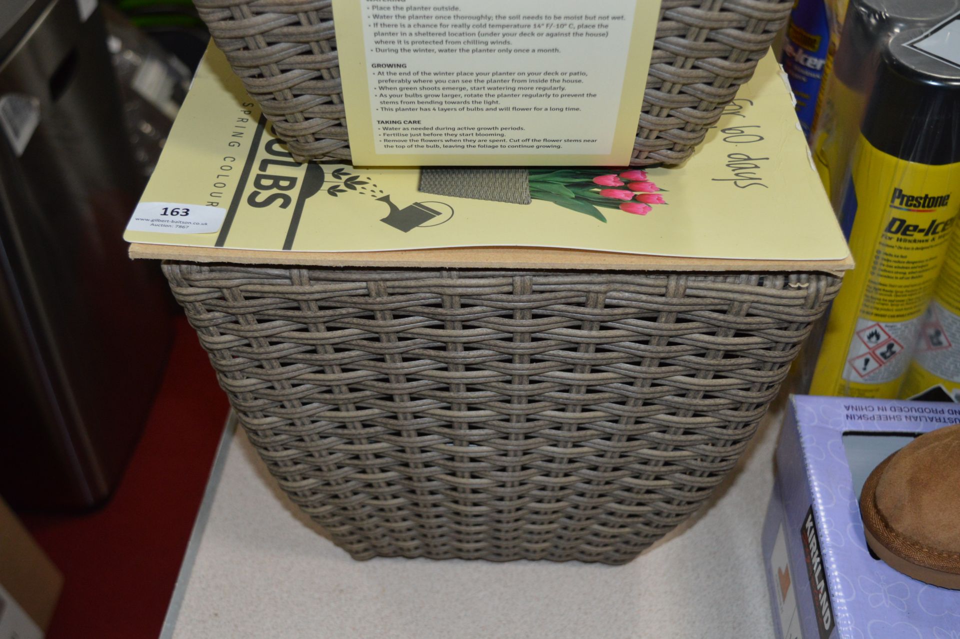 *Wicker Basket with Pre Planted Bulbs