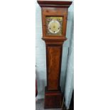 A Grandmother clock, with brass Enfield movement, in an oak and mahogany case, 147cm high.