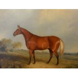 19thC British School. Study of a horse in landscape, oil on canvas, 35.5cm x 44cm