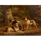 19thC British School. Hound in woodland setting, oil on board, 22cm x 29.5cm