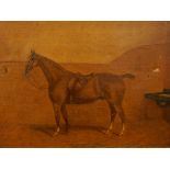 W Major (19thC). Talioman - a saddled chestnut hunter standing in a stable, oil on canvas, signed,