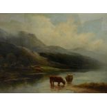 H Gill (19thC). Highland cattle at the waters edge, oil on canvas, signed, 38.5cm x 54cm