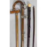 Various walking sticks, comprising a 19thC bamboo style example with polished ivory knop, an