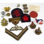 Various cap badges, iron on badges, Parachute Regiment, buttons, red crown on blue ground cloth