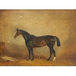 Claude Lorraine Ferneley (1822-1891). Study of horse in stable, oil on canvas, signed and dated