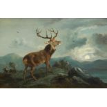 Byron Webb (act. 1846-1866). Stag in moonlight, oil on canvas, signed, 38.5cm x 59.5cm Auctioneer'