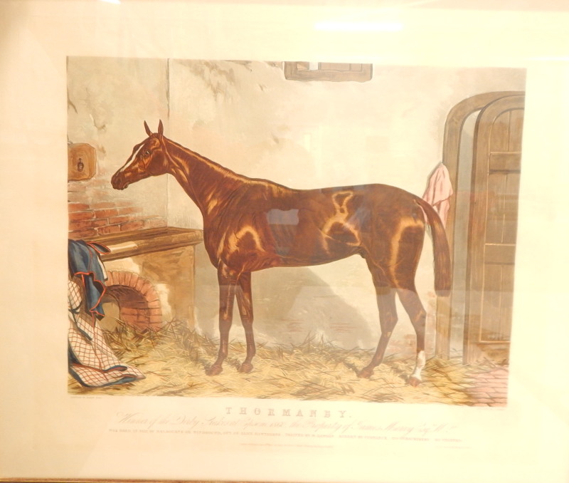 Harris, after Harry Hall. A coloured print of Thormanby, a race horse