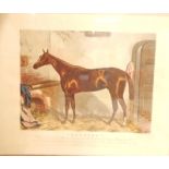 Harris, after Harry Hall. A coloured print of Thormanby, a race horse