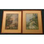 After Archibald Thorburn. Robin and Wren, etc., coloured prints, a pair, 25cm x 18cm.